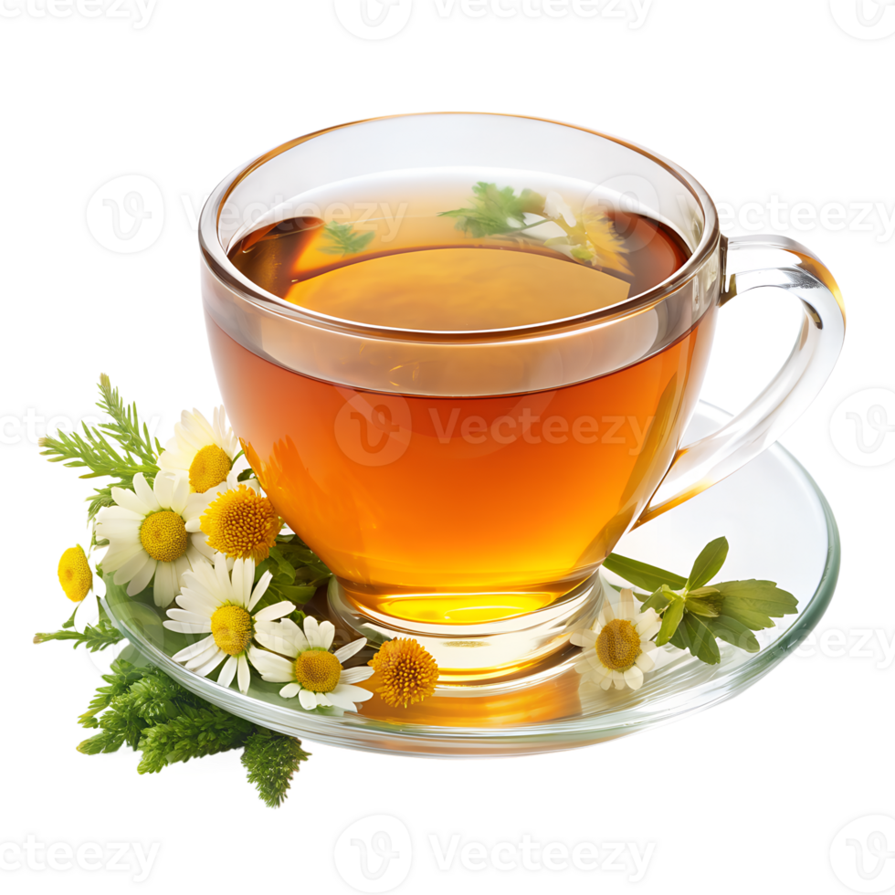 A cup of chamomile tea with fresh chamomile flowers on a saucer, perfect for a relaxing and soothing experience. png