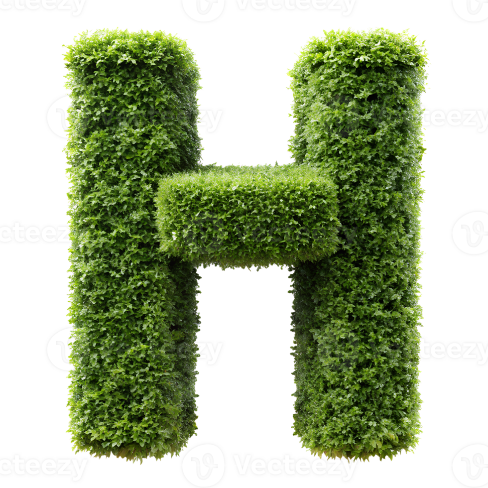 Creative concept of the letter H made from fresh green leaves, isolated on white for eco and nature-themed design projects png