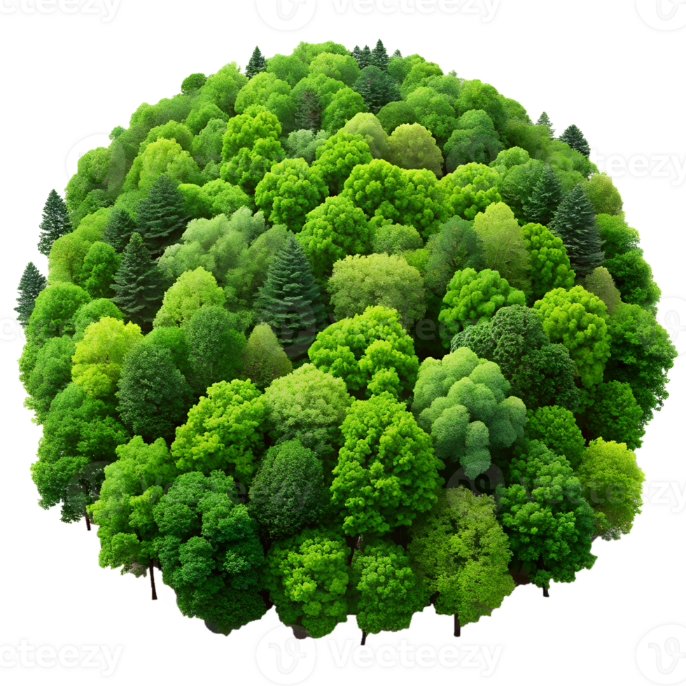 Aerial view of lush green forest with vibrant trees, showcasing nature's beauty and environmental diversity from above. png