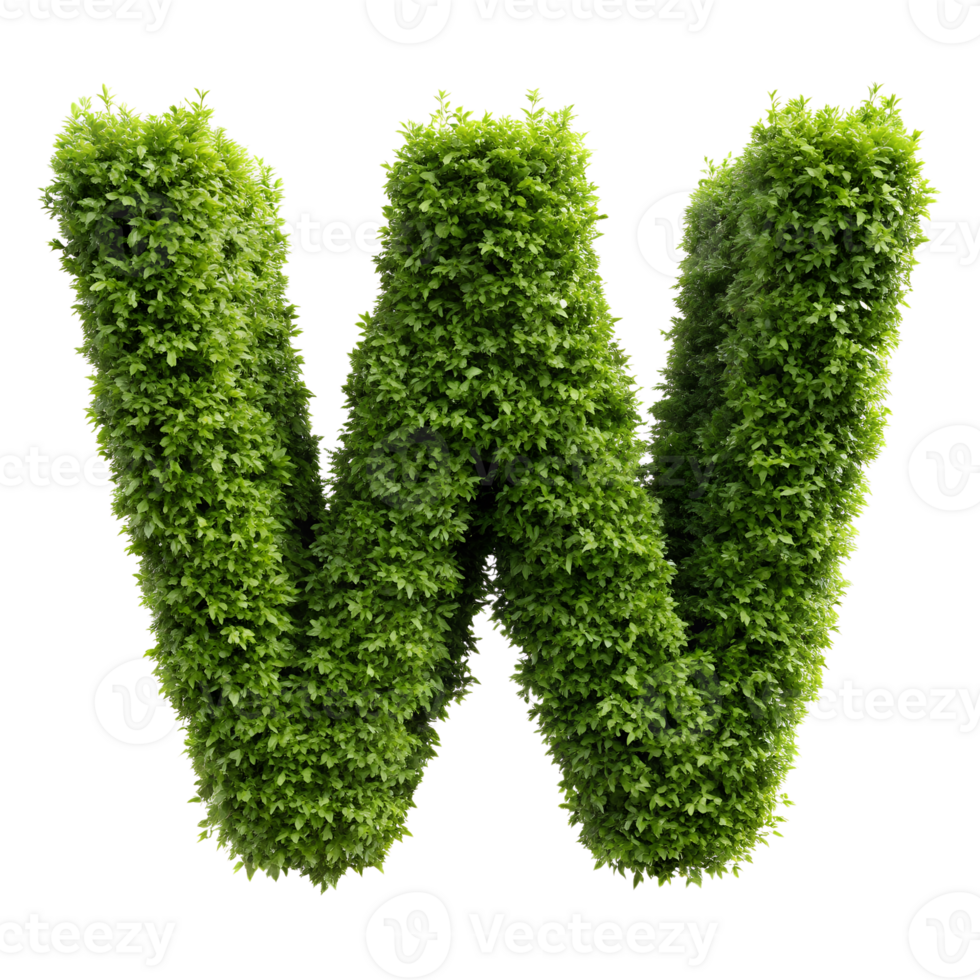 Green plant letter W made with fresh foliage, isolated on white background. Perfect for eco-themed designs, environmental projects, and typography. png