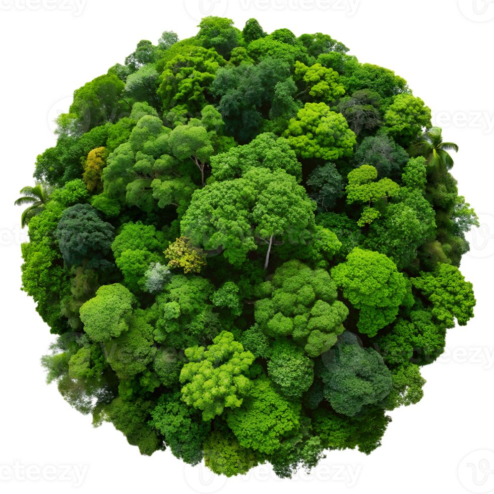 Aerial view of a lush green forest shaped like a globe, showcasing rich biodiversity and vibrant foliage. Perfect backdrop for nature-related themes. png