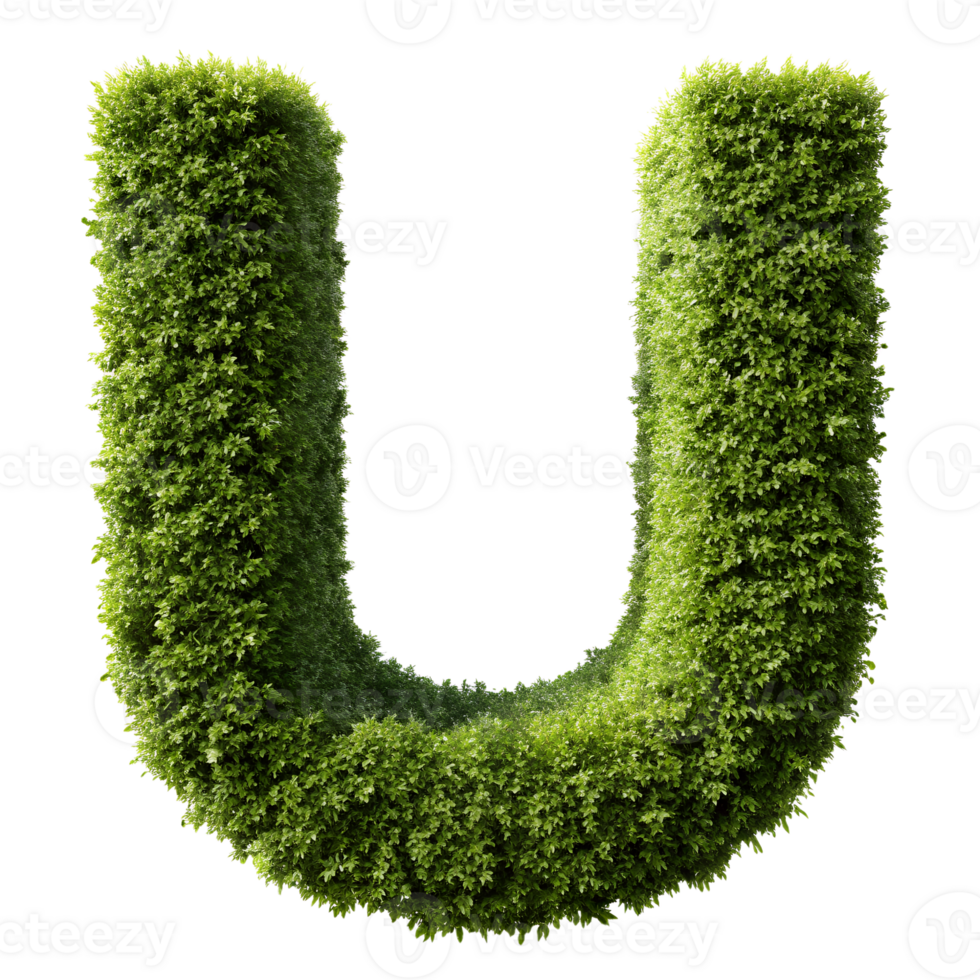 Green leafy letter U isolated on a white background, luscious alphabet symbol, eco-friendly typography, nature-inspired design element. png