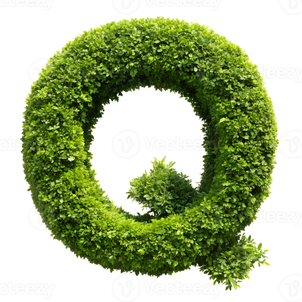 Round green topiary shaped in a circular pattern. Perfect for garden design, landscaping projects, and natural decorations. png