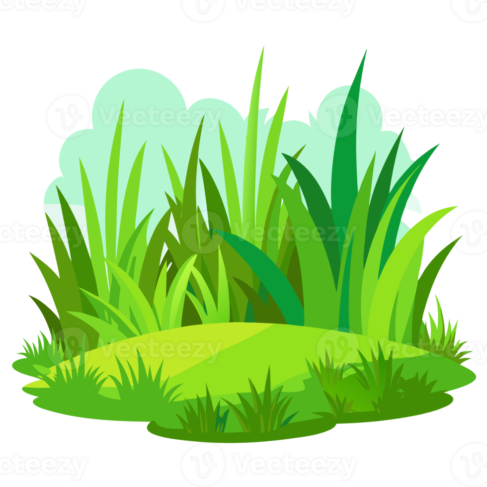 green grass on a white background png