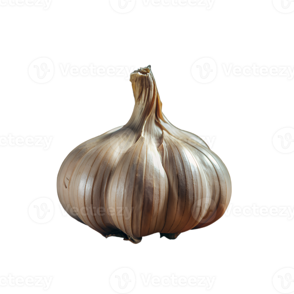 Close-up of black garlic bulb, showcasing its unique rich color and texture. Ideal for gourmet cooking and health food illustrations. png