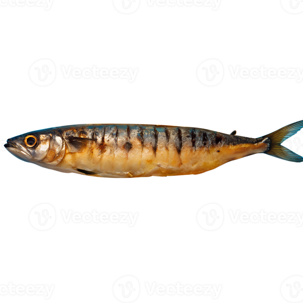 Close-up image of a fresh sardine fish isolated on a white background. Perfect for culinary, seafood, and nutrition themes. png