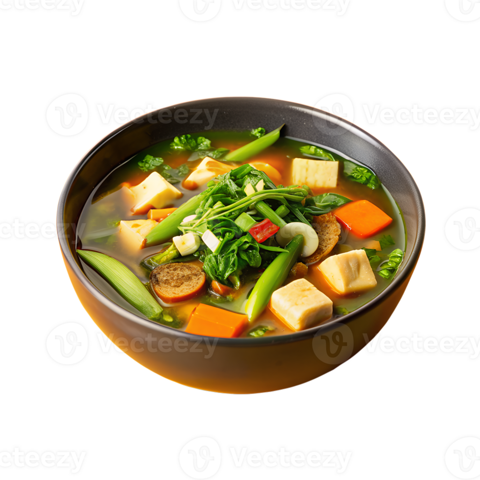 A vibrant bowl of delicious vegetable soup with tofu, carrots, leafy greens, snap peas, and mushrooms in a black bowl. png