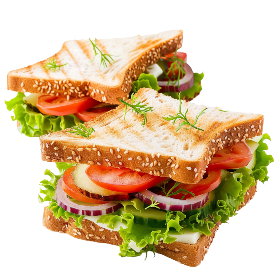 Two Toasted Sesame Seed Sandwiches With Tomato, Cucumber, and Red Onion png