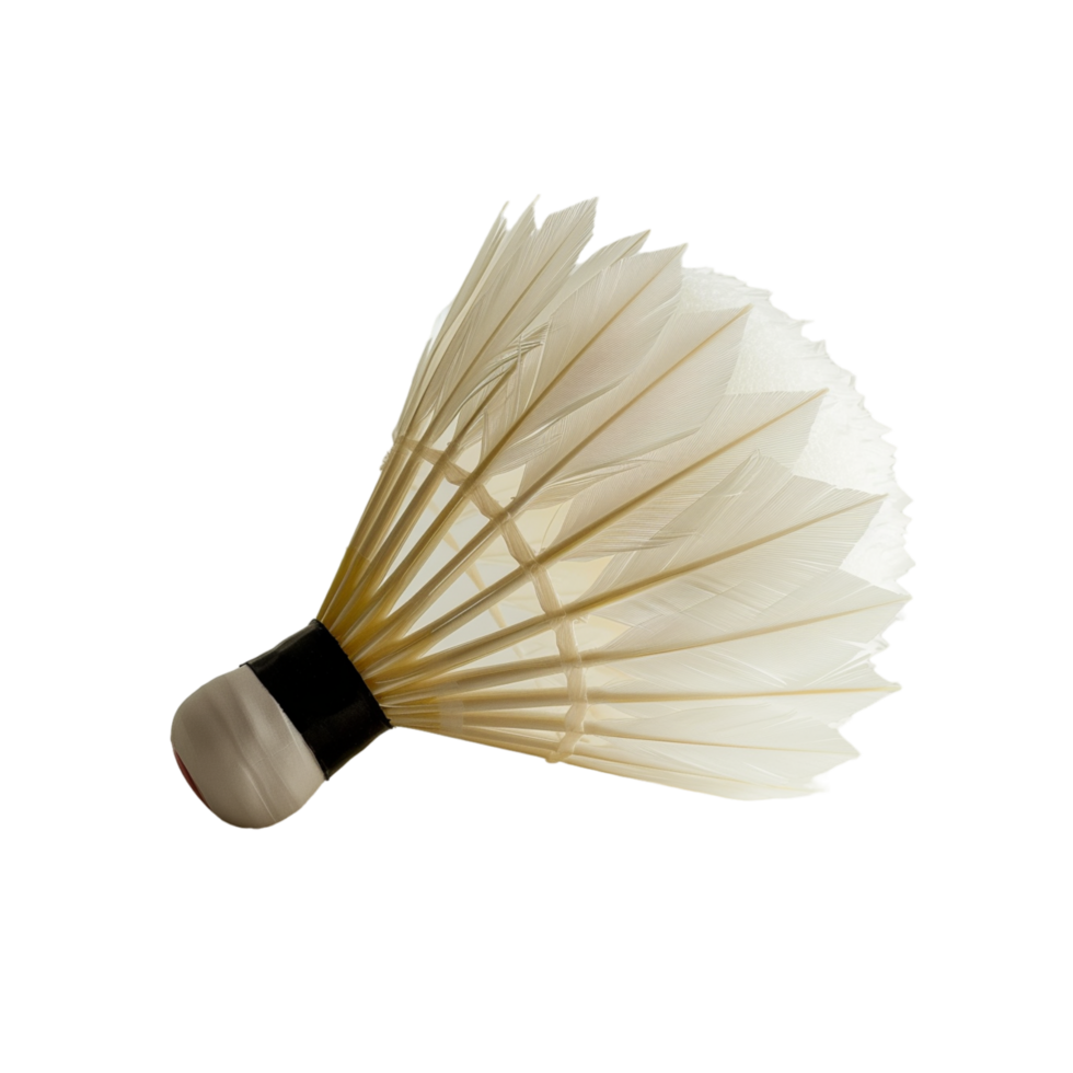 White Feather Badminton Shuttlecock With Black Trim and Red Dot png