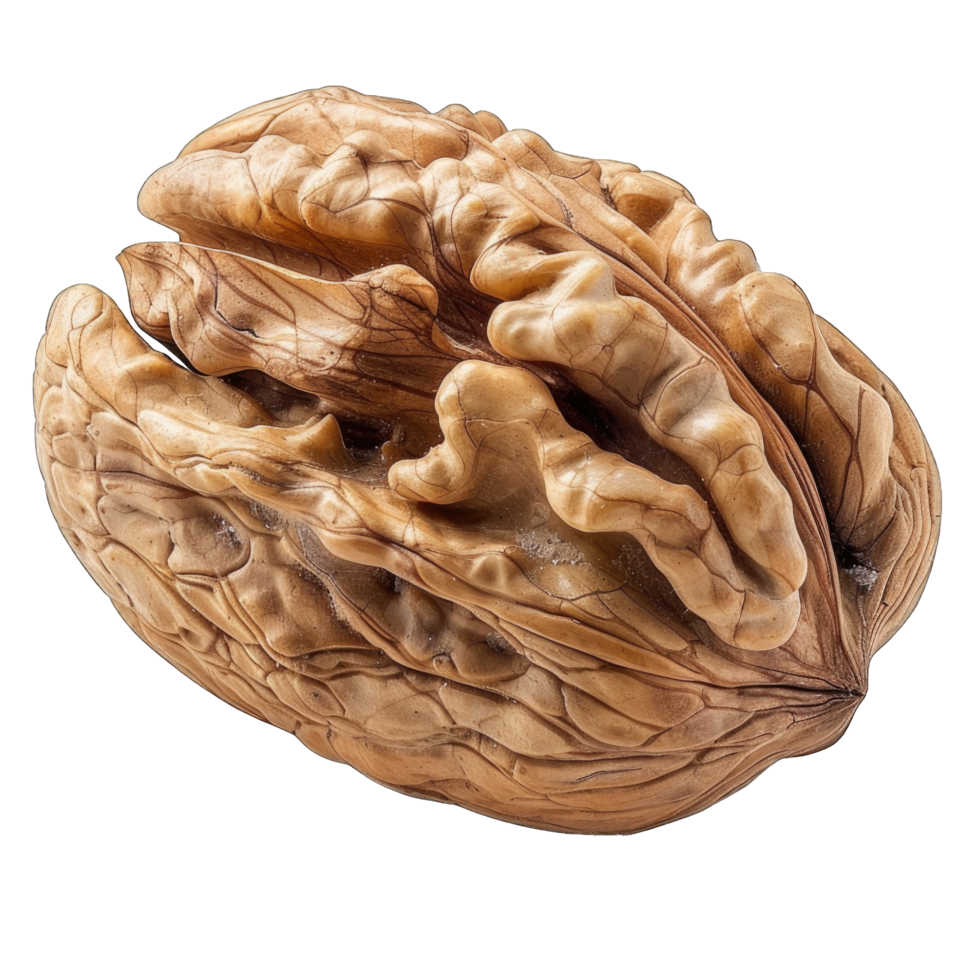 Close Up of a Single Walnut Shell Isolated on a Transparent Background png