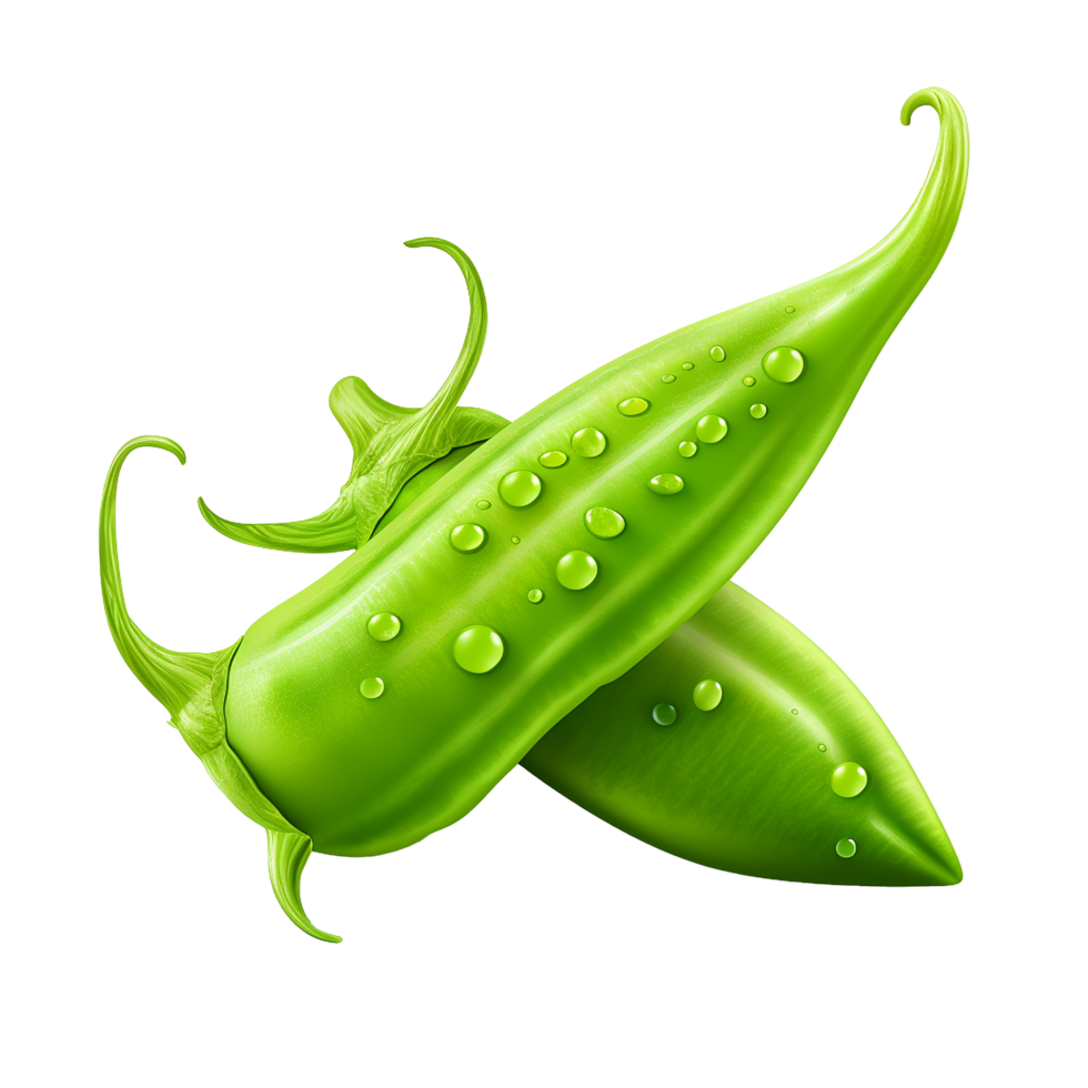 Fresh pakory realistic isolated on transparent background png