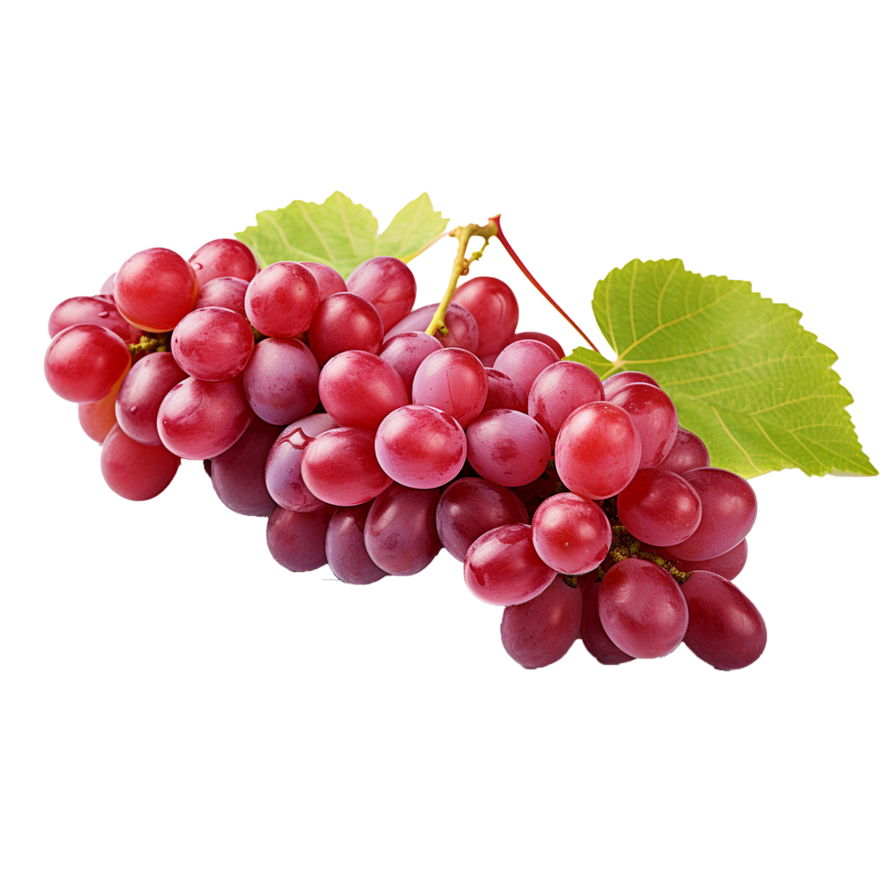 A bunch of grapes with leaves png