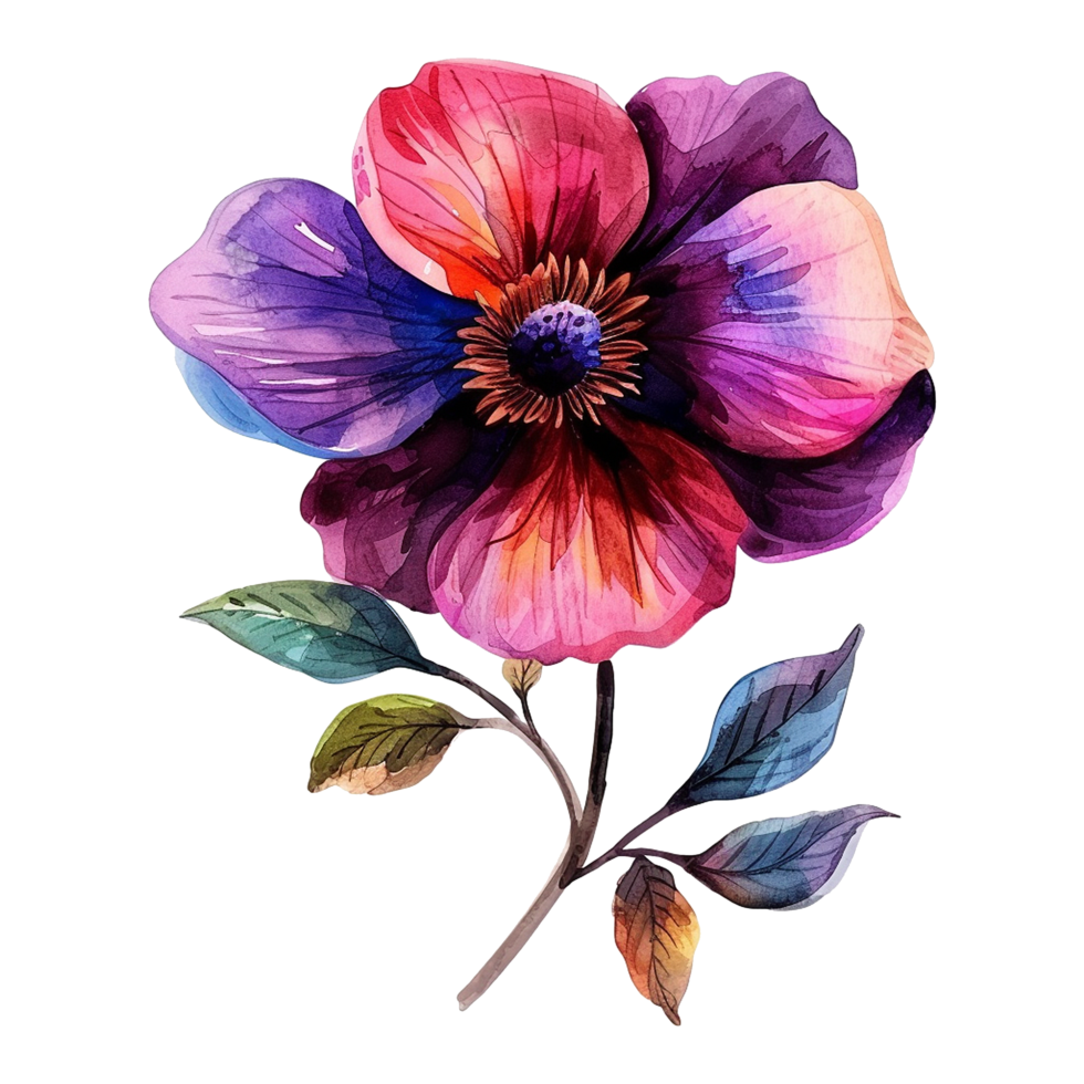 Watercolor flower isolated on transparent background png