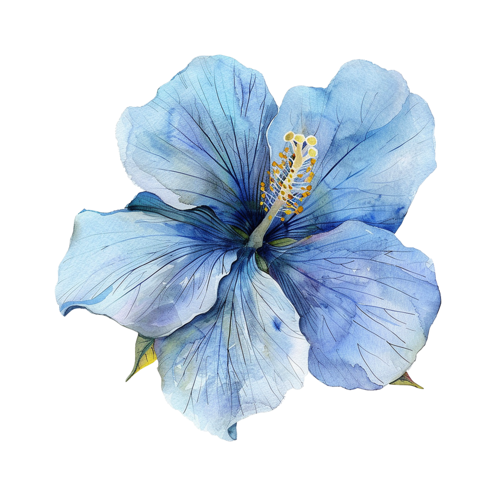 Watercolor flower isolated on transparent background png