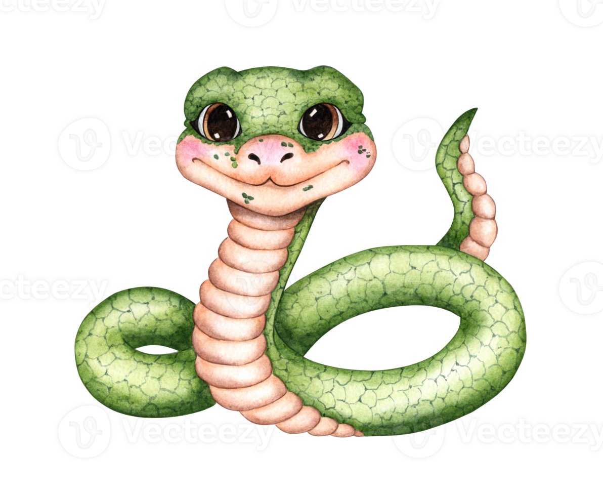 Snake green cartoon watercolor illustration. Symbol of the year 2025, Chinese horoscope isolated from background. For design of Christmas cards, scrapbooking, textiles, banners, flyers, png