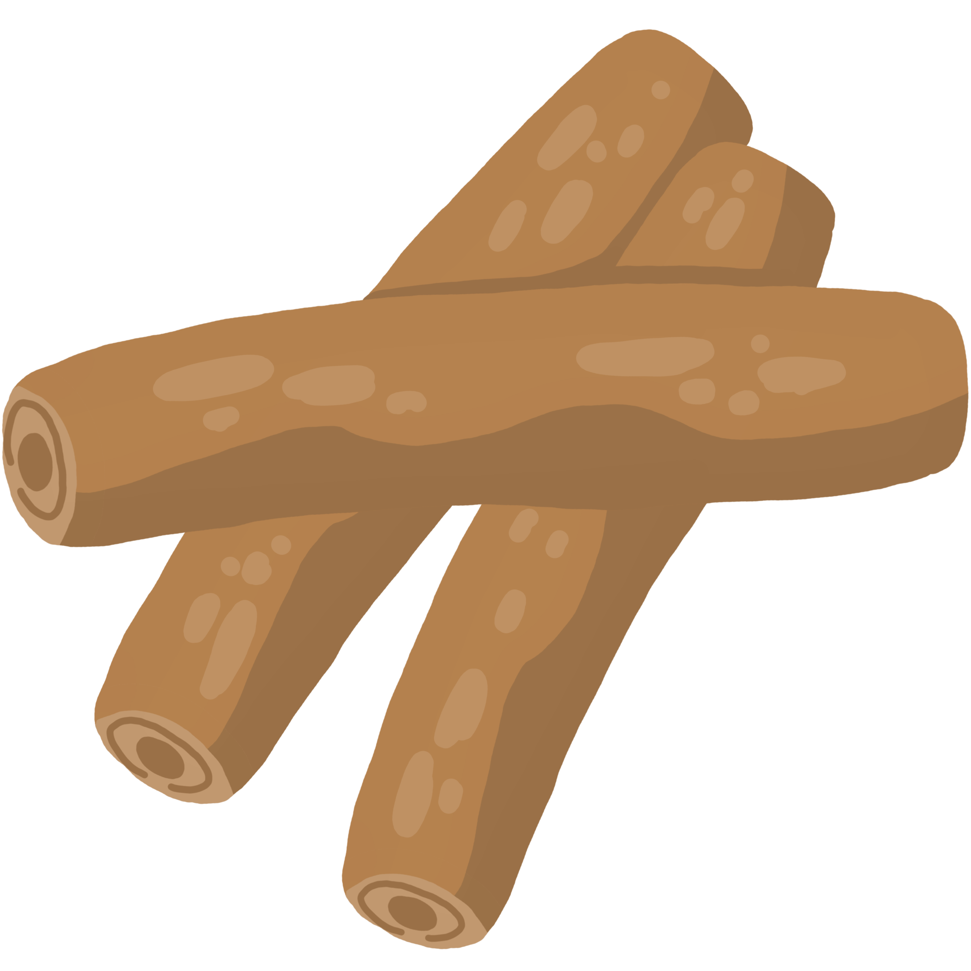cinnamon spices cartoon 47834935 PNG