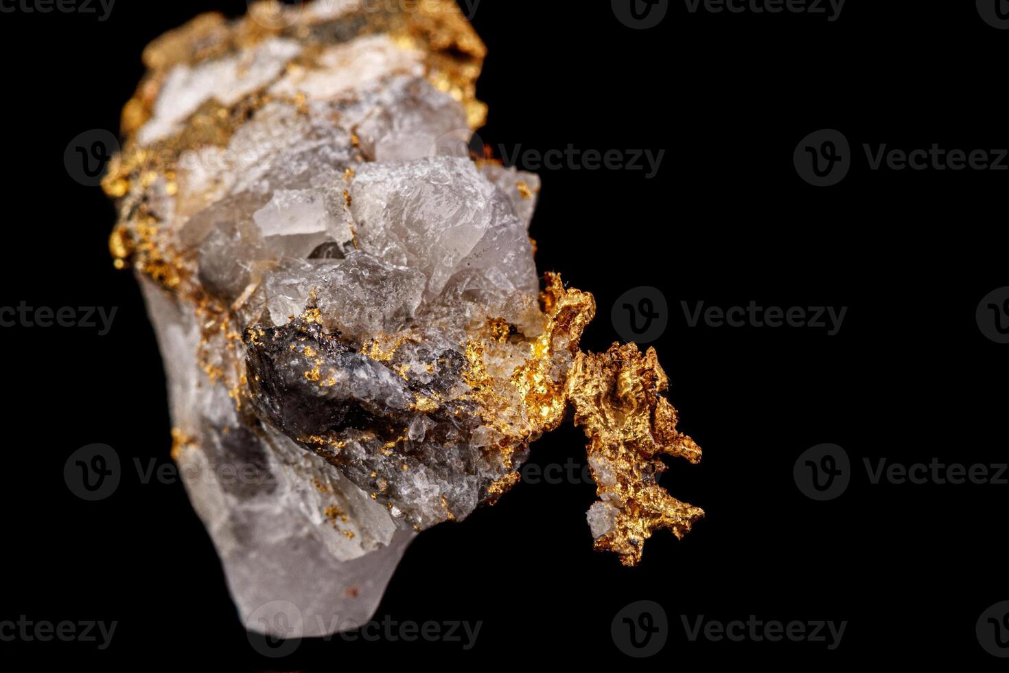 macro mineral stone gold in the rock on a black background photo
