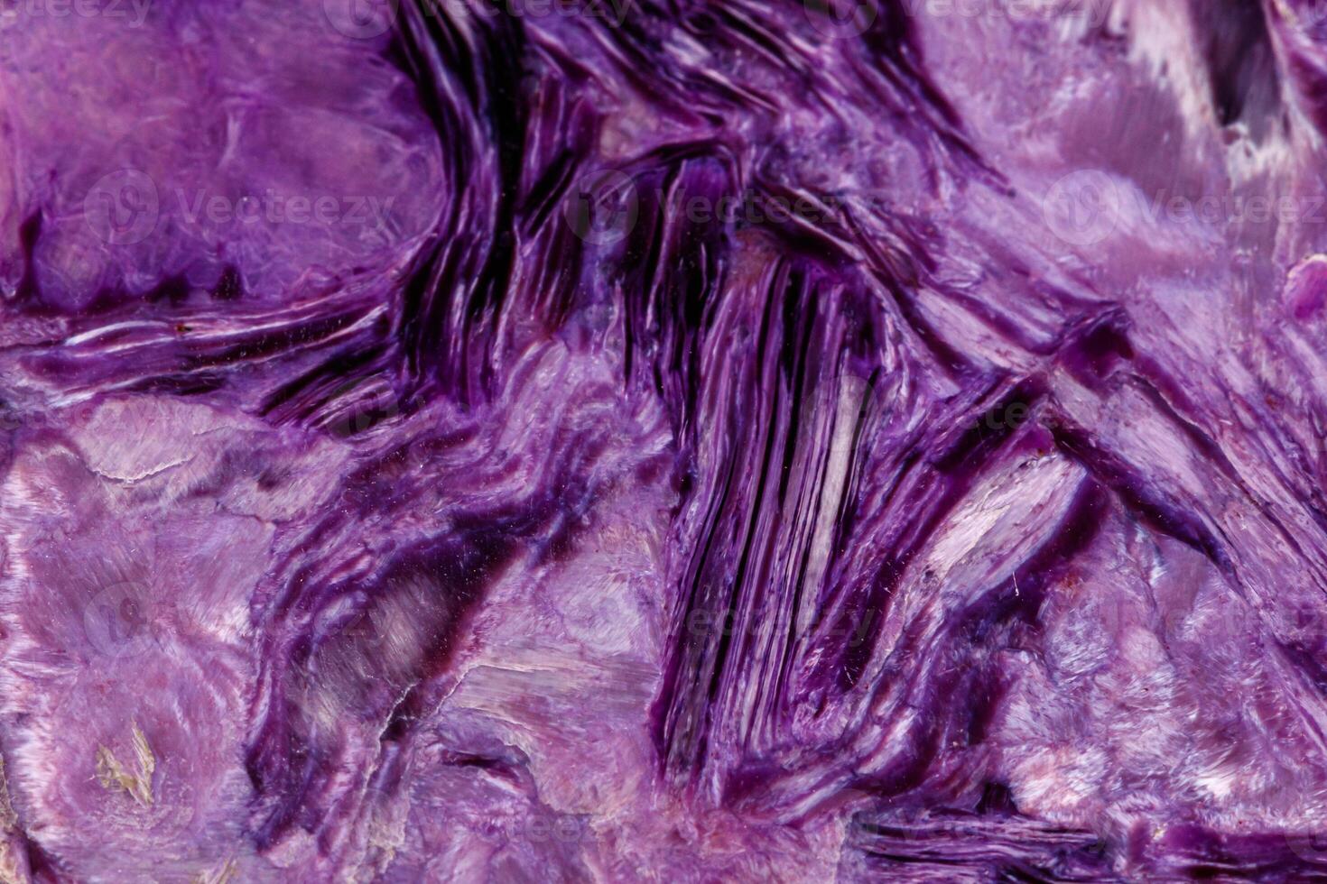 Macro stone mineral Charoite on a white background photo