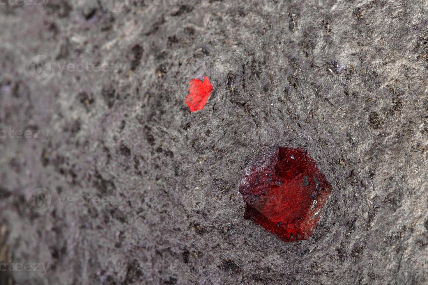 Macro mineral stone Garnet in rock on a white background photo