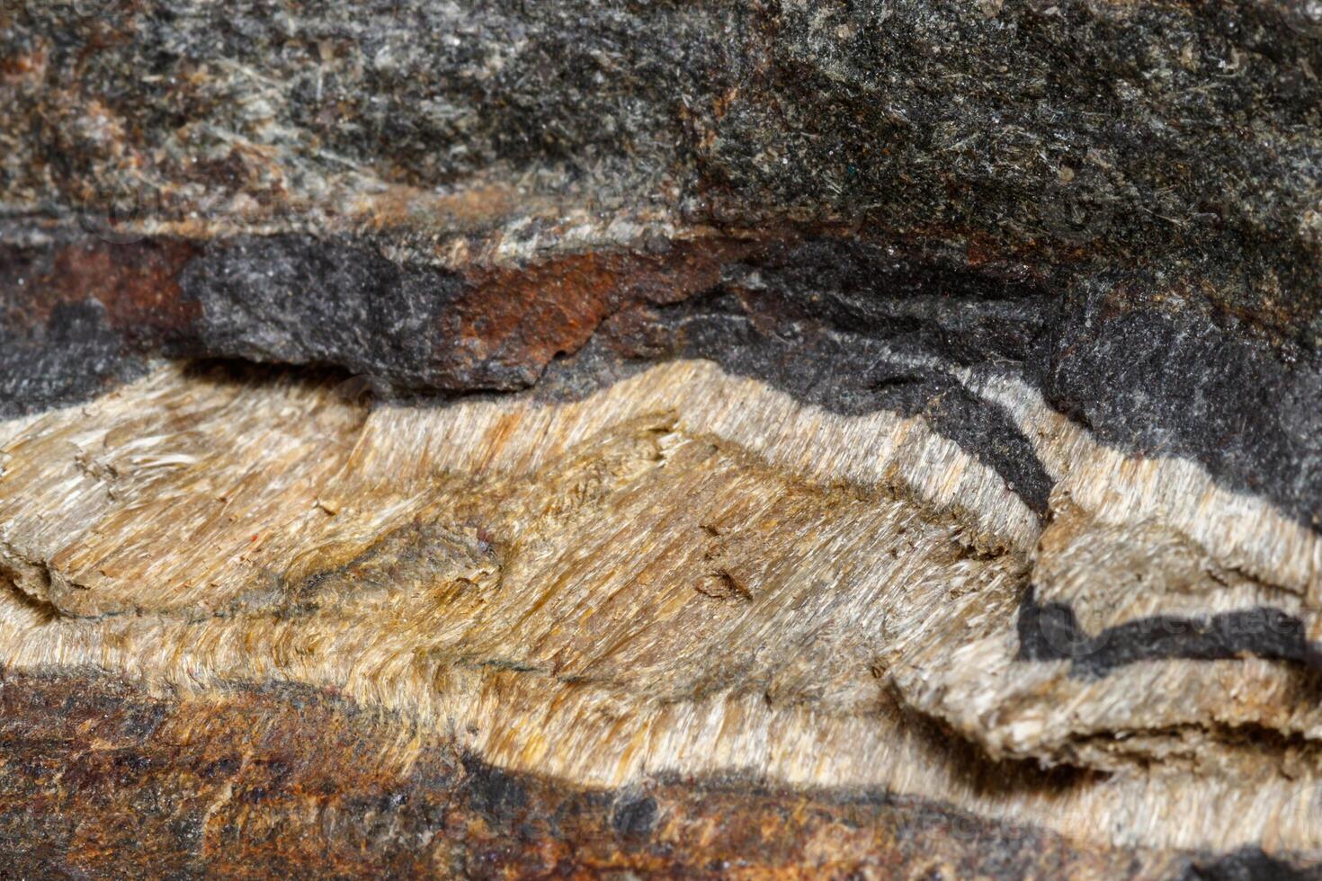 Macro mineral stone Snake eye in the rock a white background photo