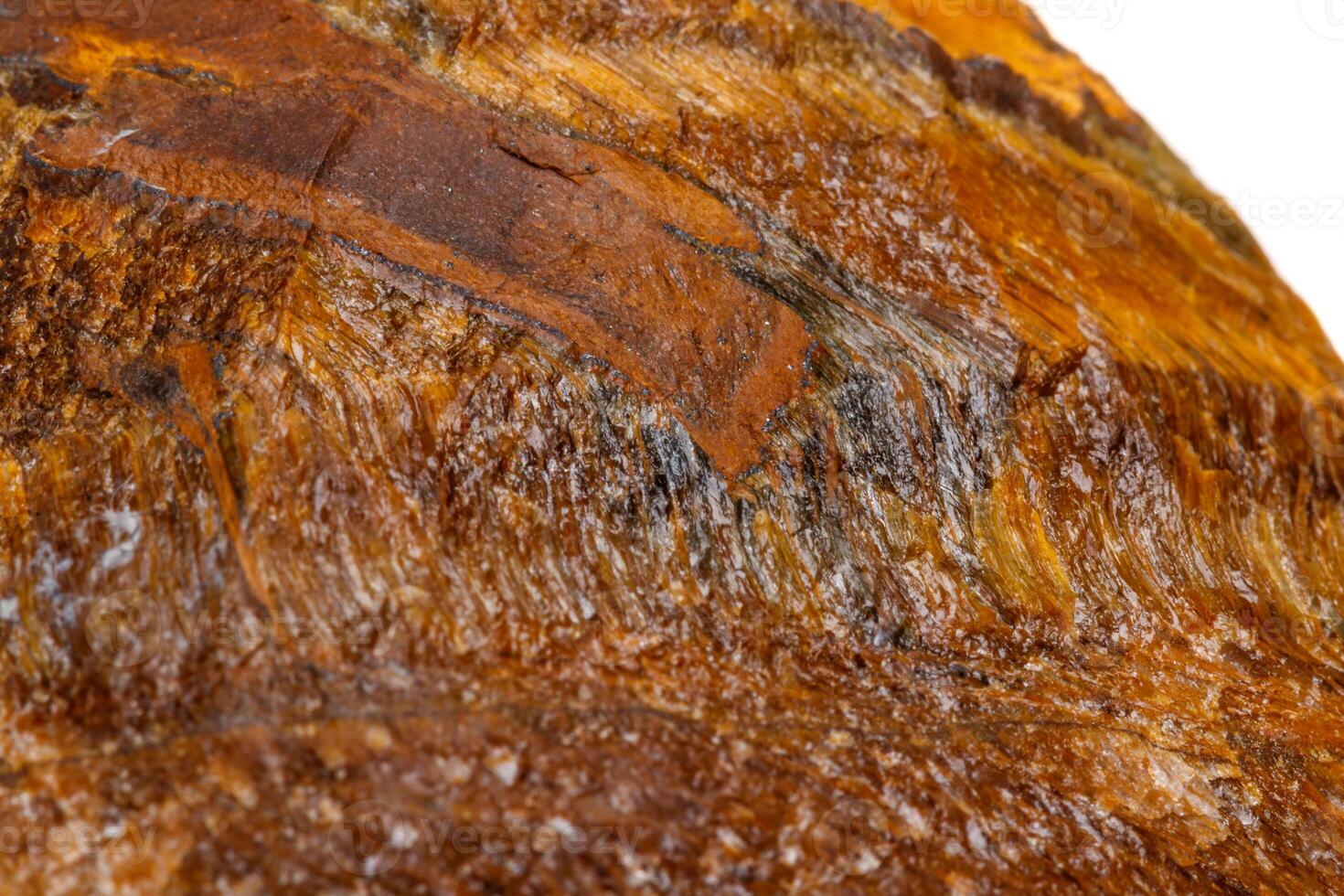 Macro mineral stone Tiger's eye in the breed on a white background photo