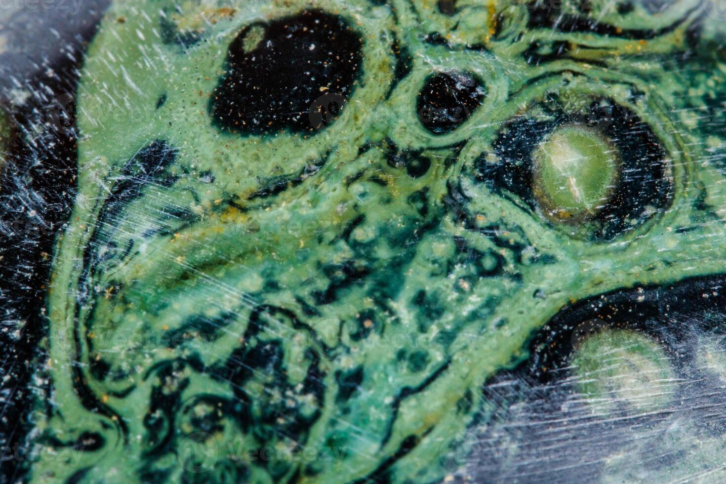Macro mineral stone jasper kambaba on a white background photo