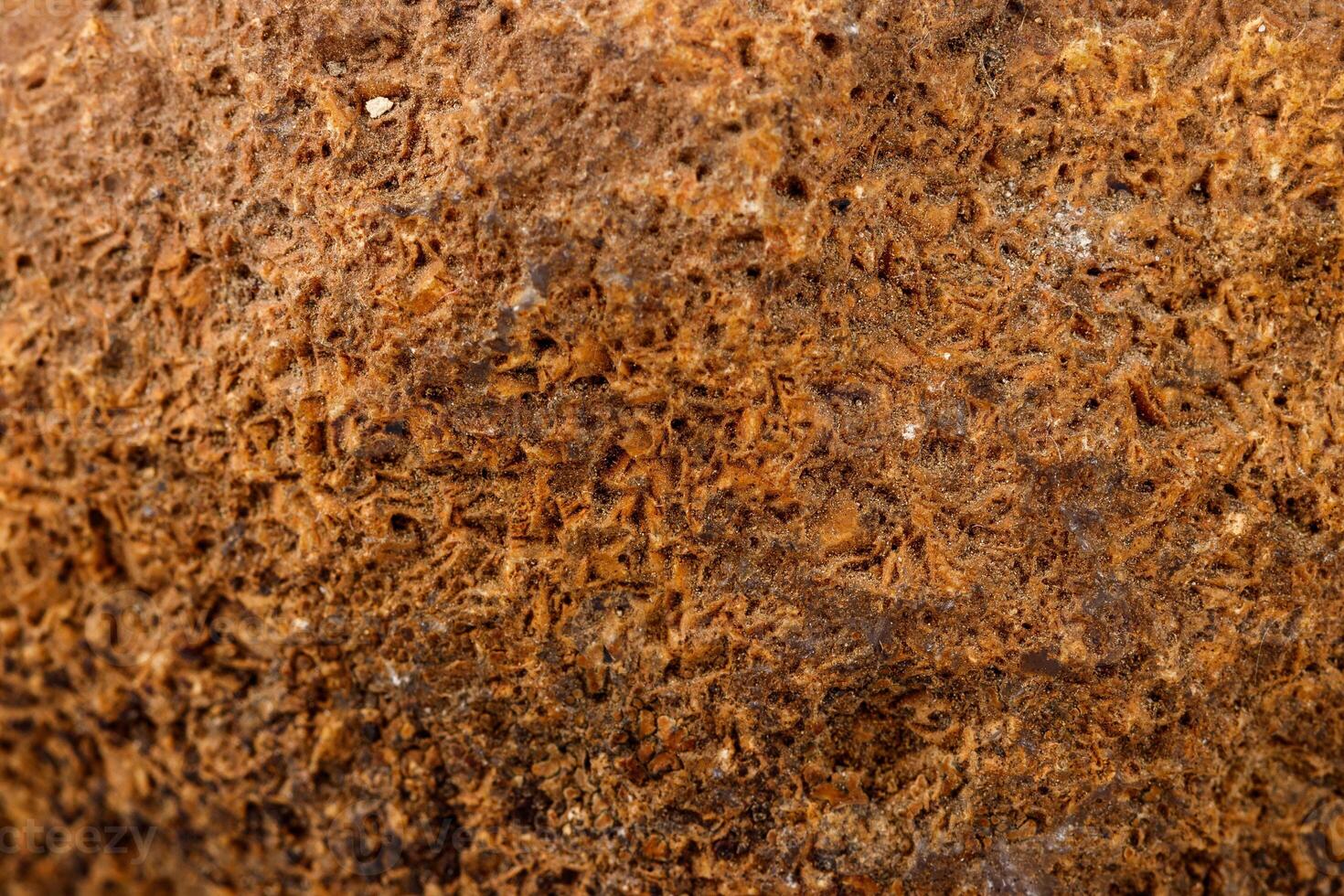 Macro mineral stone Agate Brown on white background photo