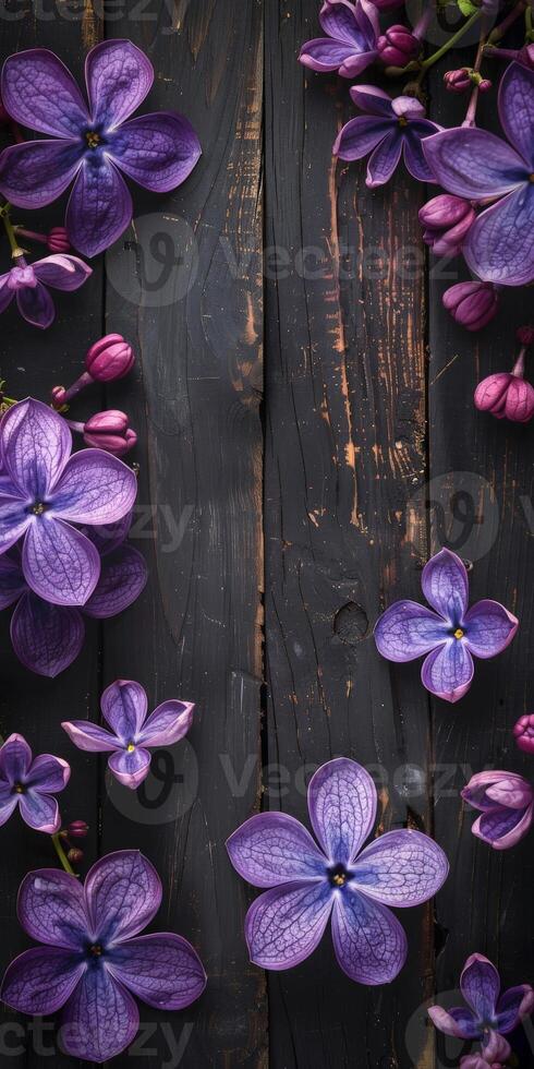 Purple Lilac Flowers on Dark Wood photo
