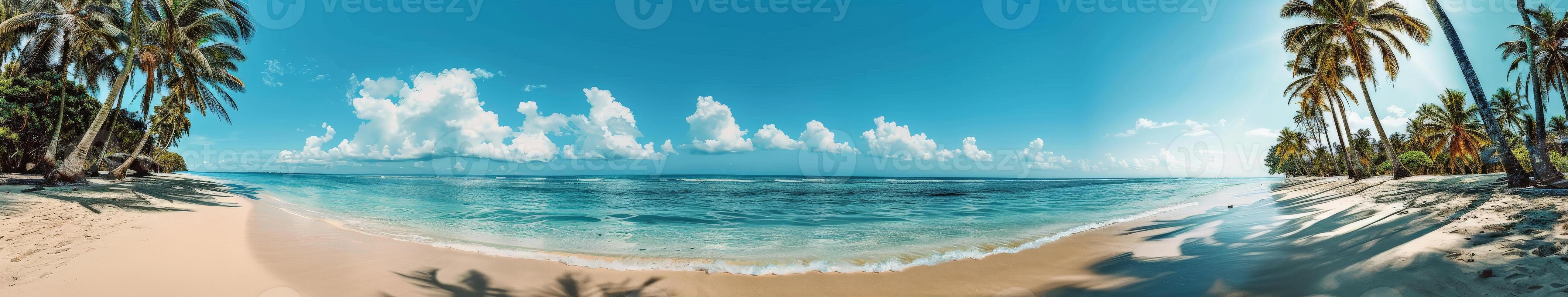 Tropical Beach Paradise With Lush Palm Trees and Clear Blue Sky photo
