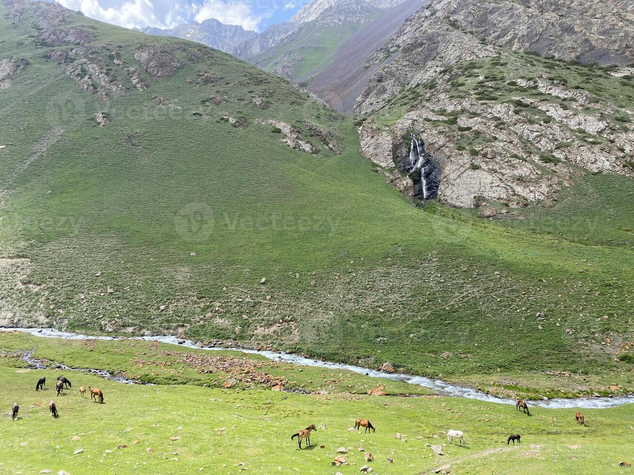 Horses against the backdrop of mountains. Horses are grazing. Incredible summer landscape. Sunny day in the mountains. Mountains of Kyrgyzstan. Trekking in the mountains of Kyrgyzstan. Central Asia. photo