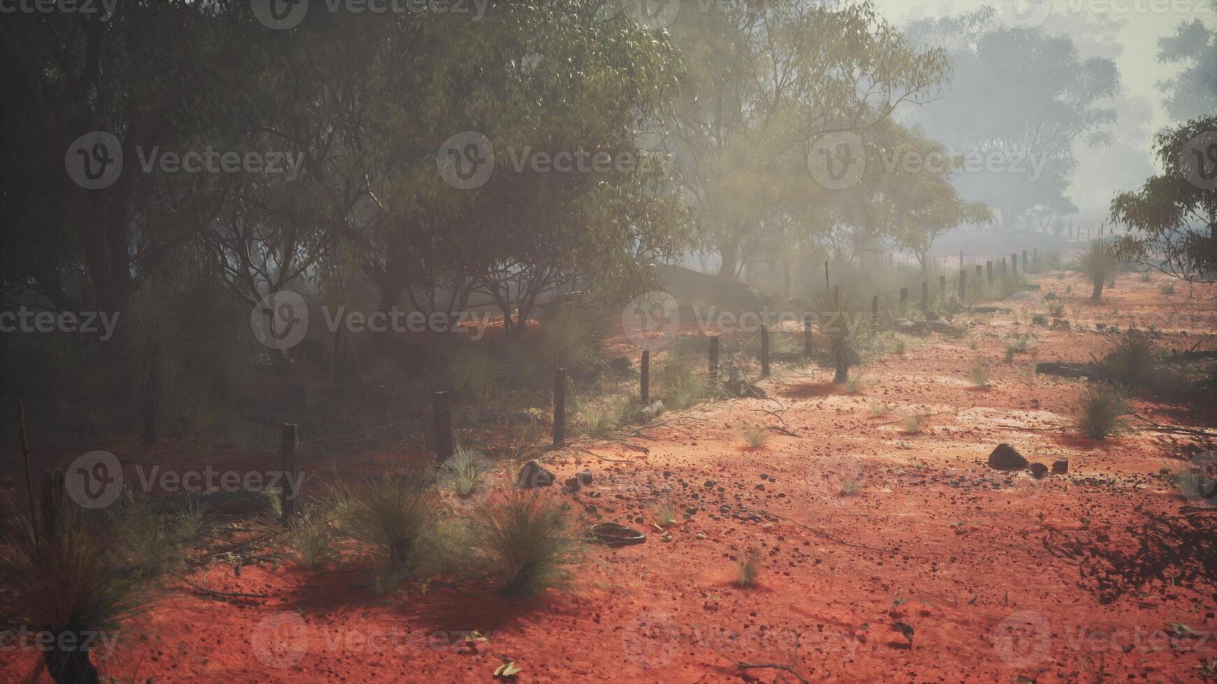 Enchanted Path, A Serpentine Journey Through the Australian Bush photo