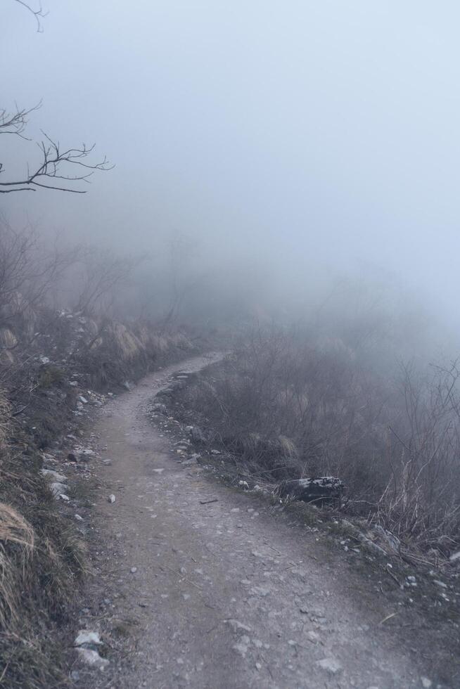 Annapurna Base Camp trekking road view in Nepal, background in mountain Nepal photo
