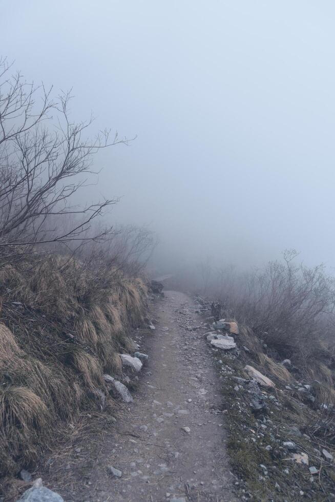 Annapurna Base Camp trekking road view in Nepal, background in mountain Nepal photo