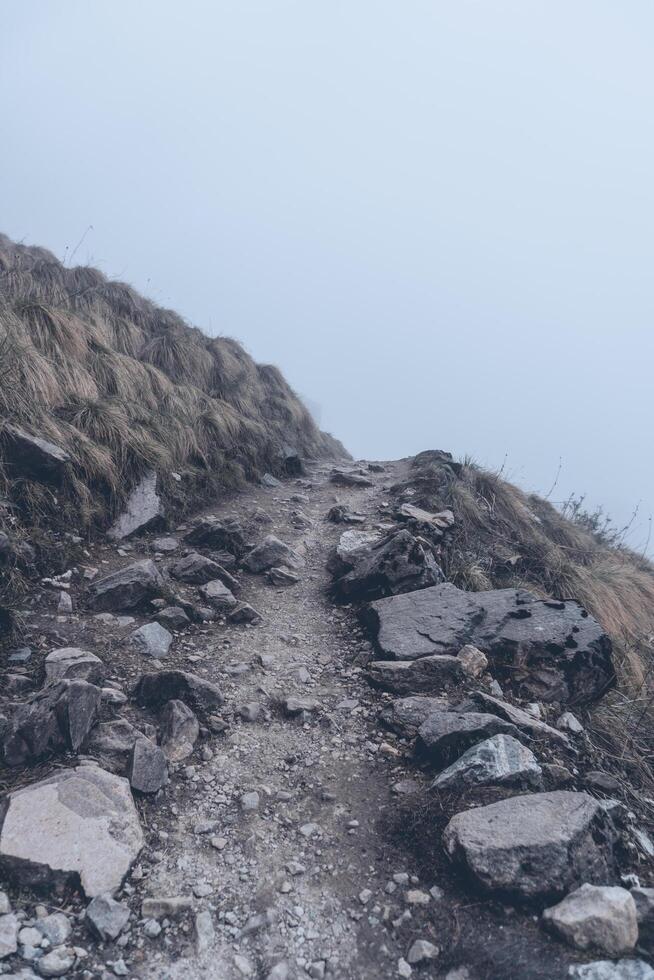 Annapurna Base Camp trekking road view in Nepal, background in mountain Nepal photo