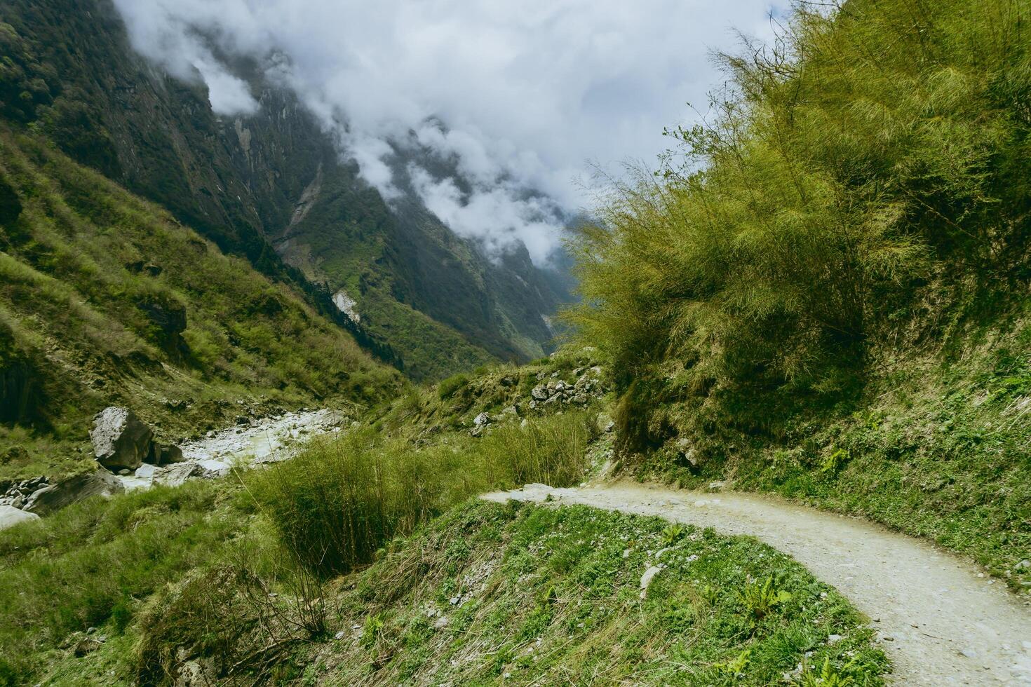 Mountain in Nepal in the morning during Annapurna Base Camp trekking, Green nature background photo
