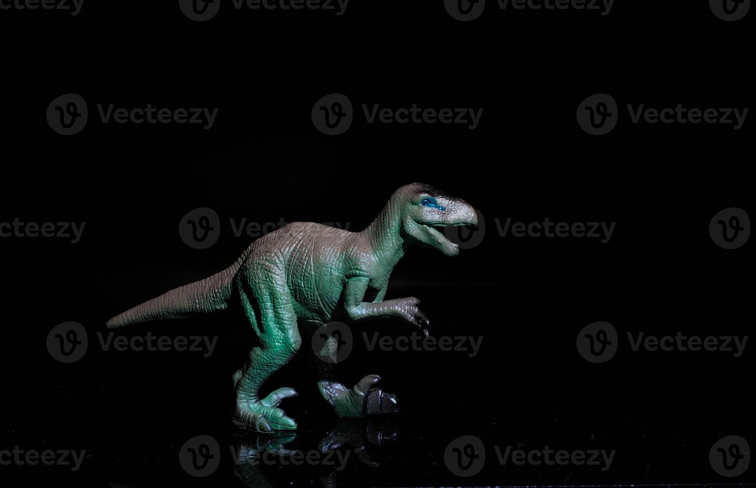 Velociraptor is an extinct genus of dromaeosaurid dinosaur that lived in the Upper Cretaceous, approximately 75-71 million years ago. Hole on black background photo