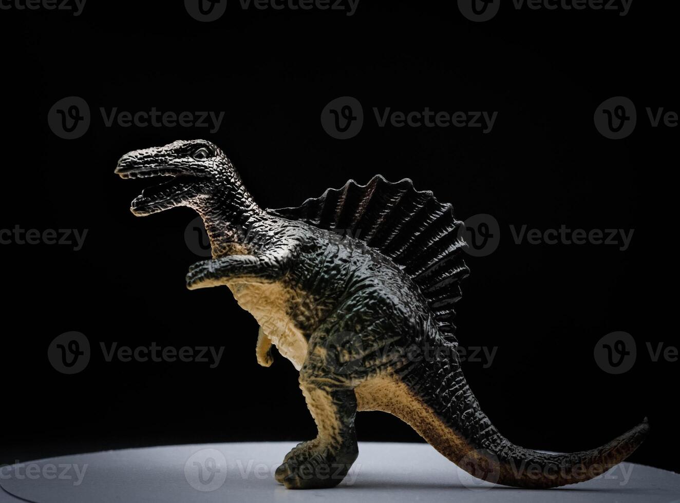 The Stegosaurus was a large and robust quadrupedal herbivorous dinosaur, with an arched profile. Spinosaurus is an extinct genus of spinosaurid theropod dinosaur photo