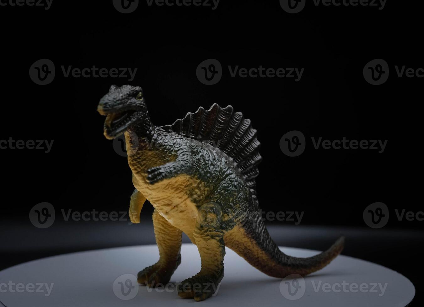 The Stegosaurus was a large and robust quadrupedal herbivorous dinosaur, with an arched profile. Spinosaurus is an extinct genus of spinosaurid theropod dinosaur photo