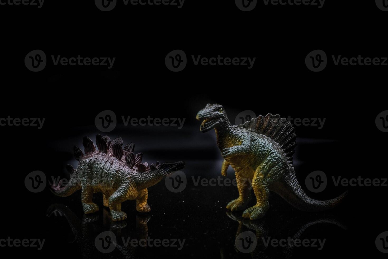 The Stegosaurus was a large and robust quadrupedal herbivorous dinosaur, with an arched profile. Spinosaurus is an extinct genus of spinosaurid theropod dinosaur photo