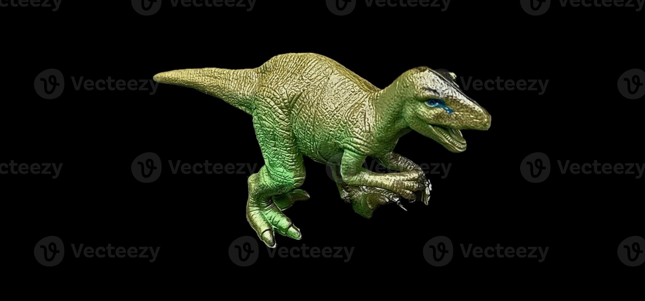 Velociraptor on a black background whose name means fast thief or fast bird of prey is an extinct genus of dromaeosaurid dinosaur that lived in the Upper Cretaceous, about 75 million years ago photo