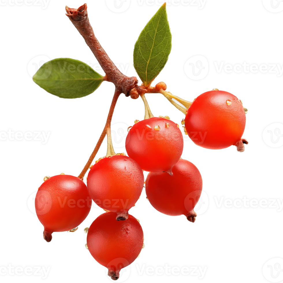 Buffaloberries bright red buffaloberries arranged in a triangular shape with some berries bursting and juice png