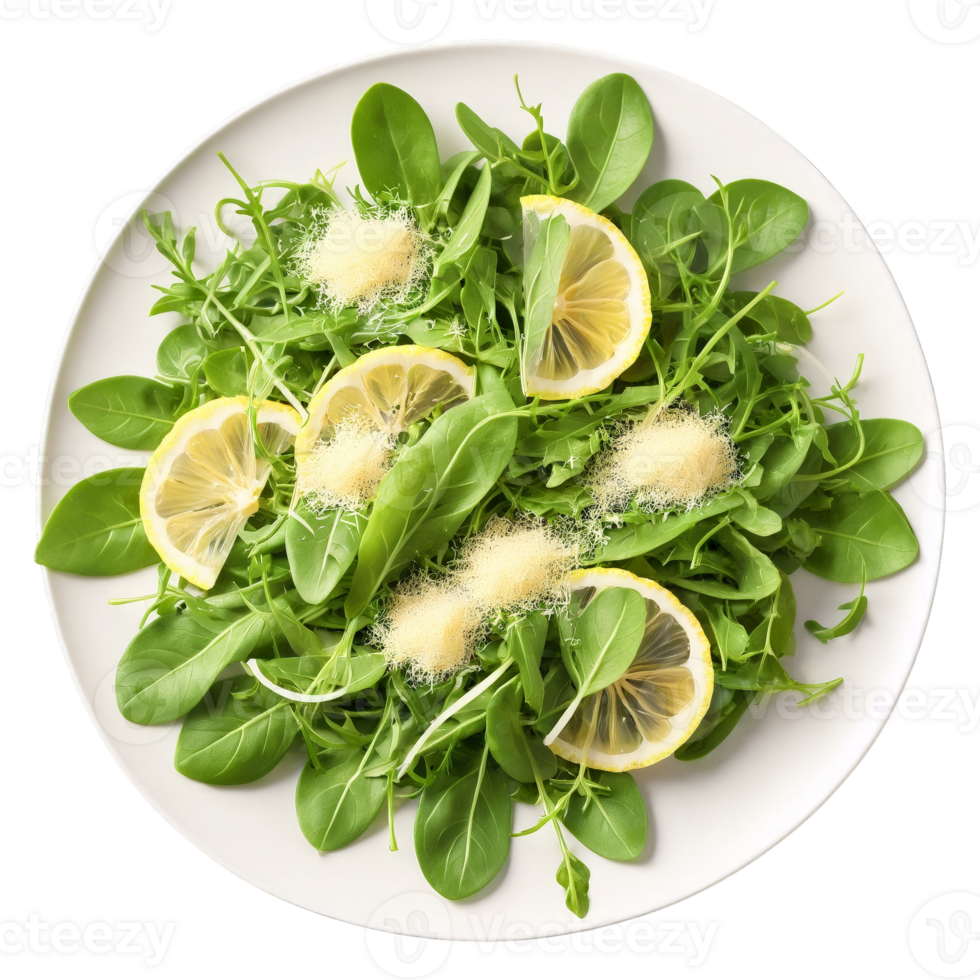 Arugula salad ingredients above arranged plate baby arugula shaved parmesan and lemon zest swirling dramatically png