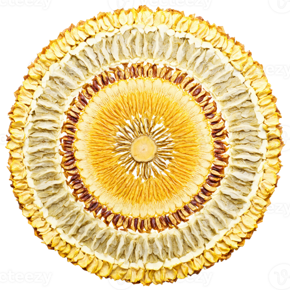 Dried Jackfruit Chunk Mandala golden dried jackfruit chunks arranged in an enchanting circular pattern pieces png