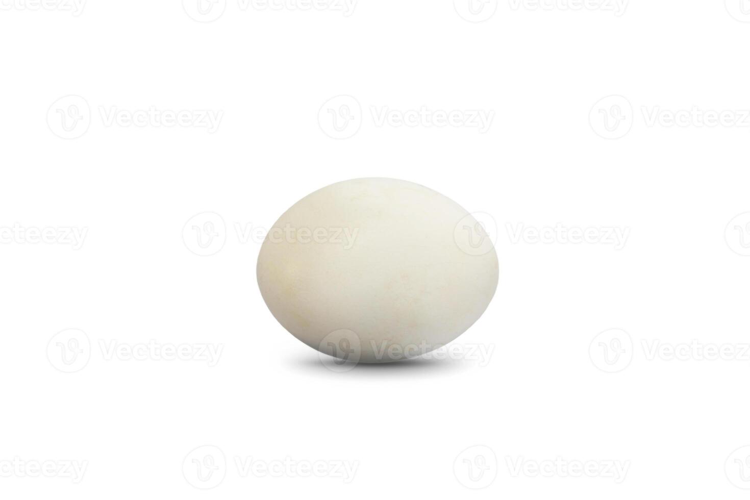 Natural White egg on white background. Clipping Paths. photo