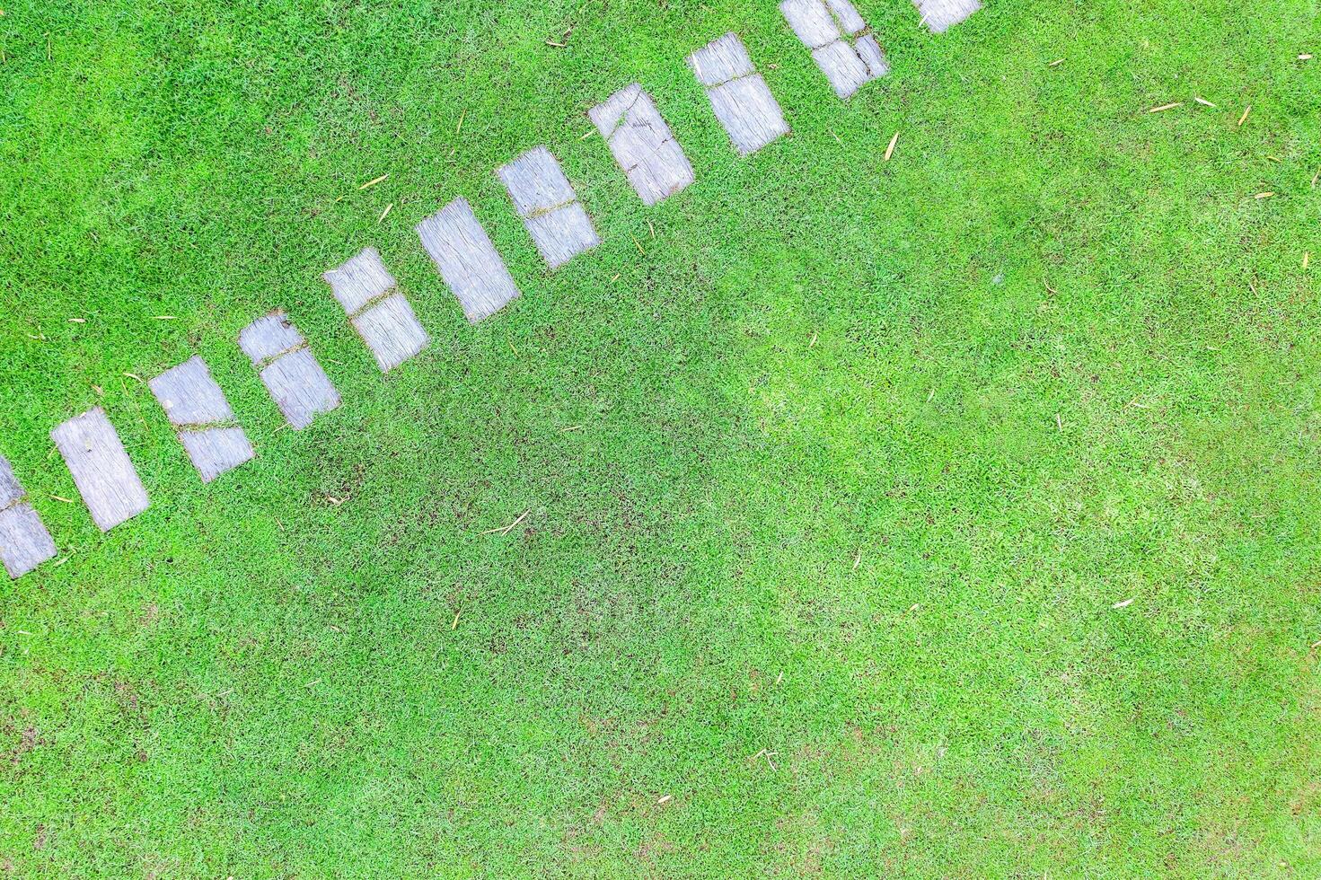 Topview garden path made of stone which is surrounded by green grass in a large lawn. photo