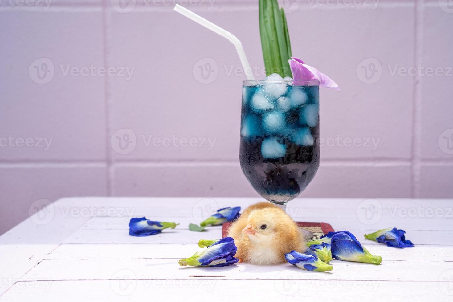 a yellow little chick with butterfly pea water and ice in a champagne glass is decorated by orchid and pandan leaf. It's shown and displayed on a pastel pink wood table in front of the cement wall. photo