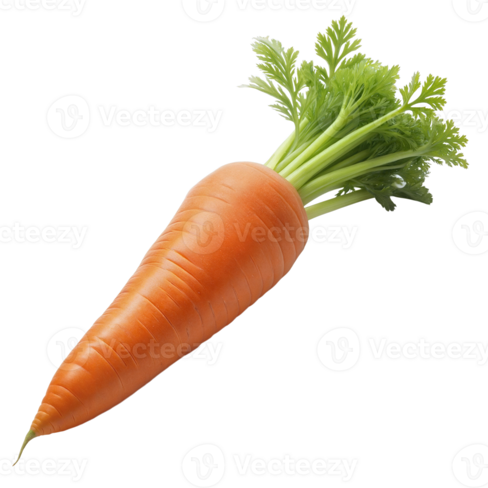 Fresh orange carrot with green leaves on a transparent background png