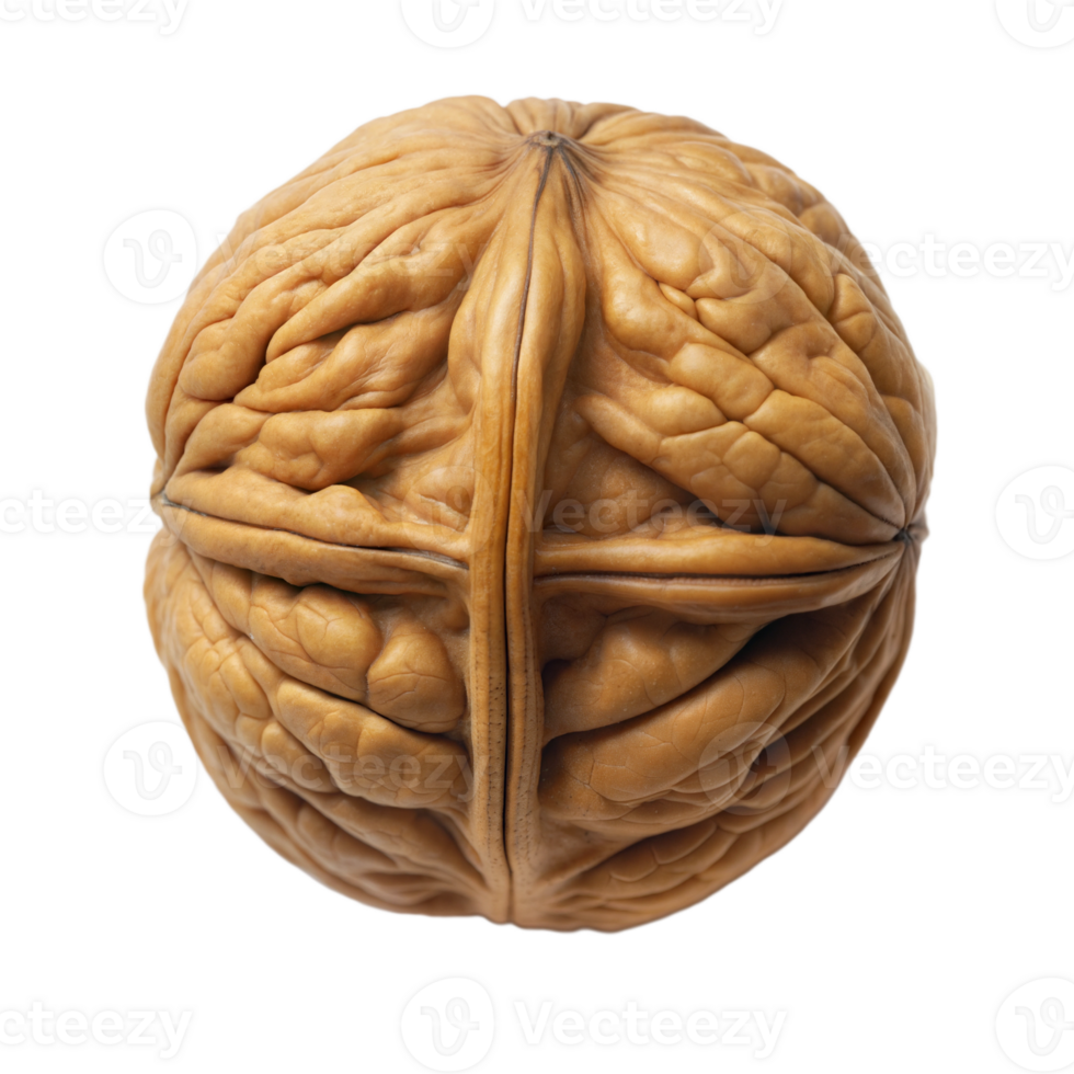 Detailed close-up of a walnut with its intricate shell texture, highlighting natural patterns, on a transparent background. png