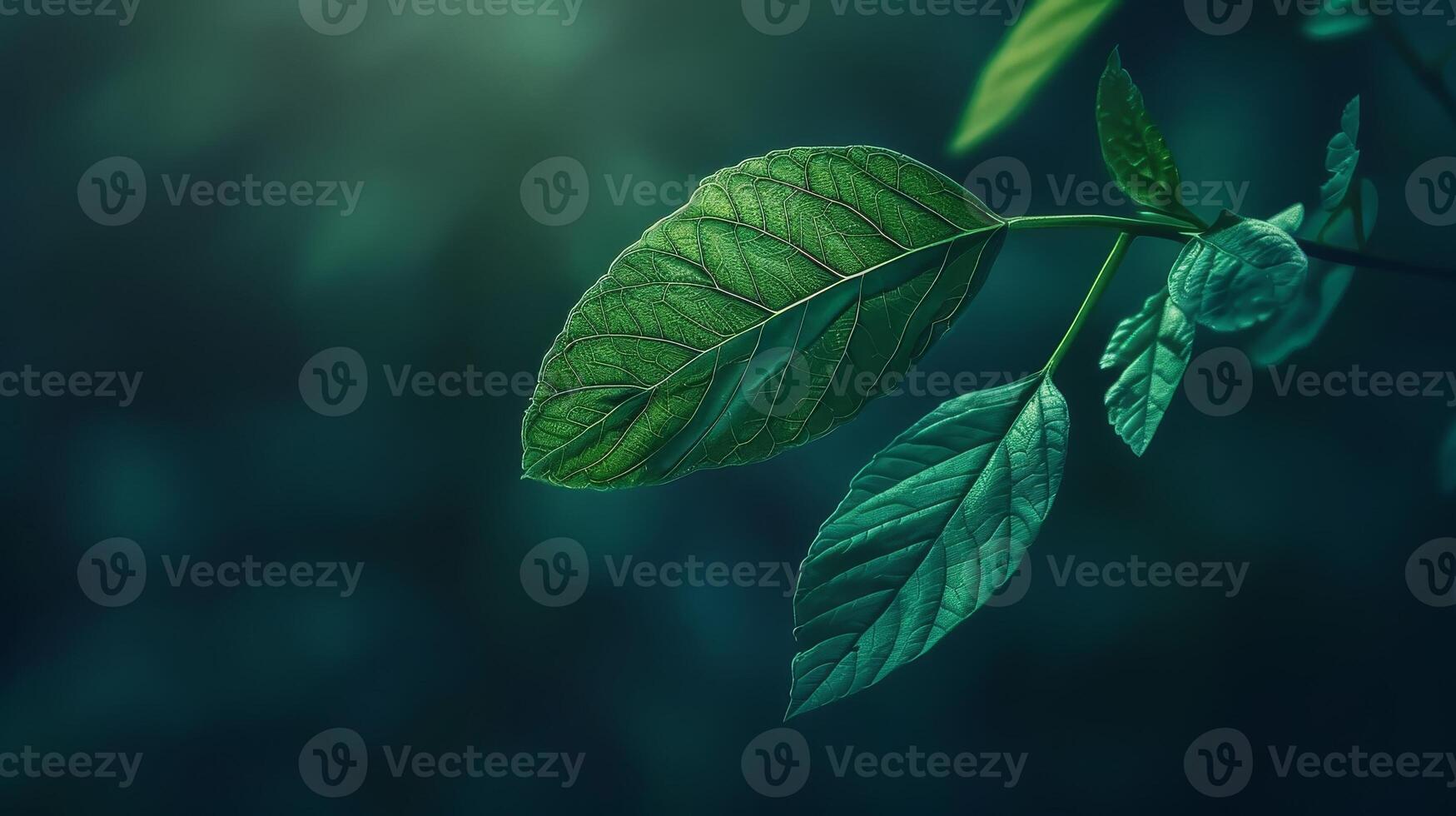 The leaves are colorful and fresh and beautiful. photo