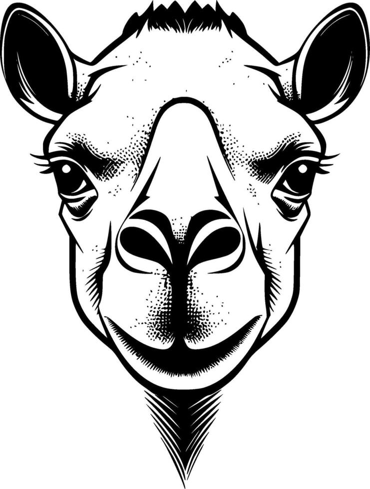 Camel, Black and White illustration vector